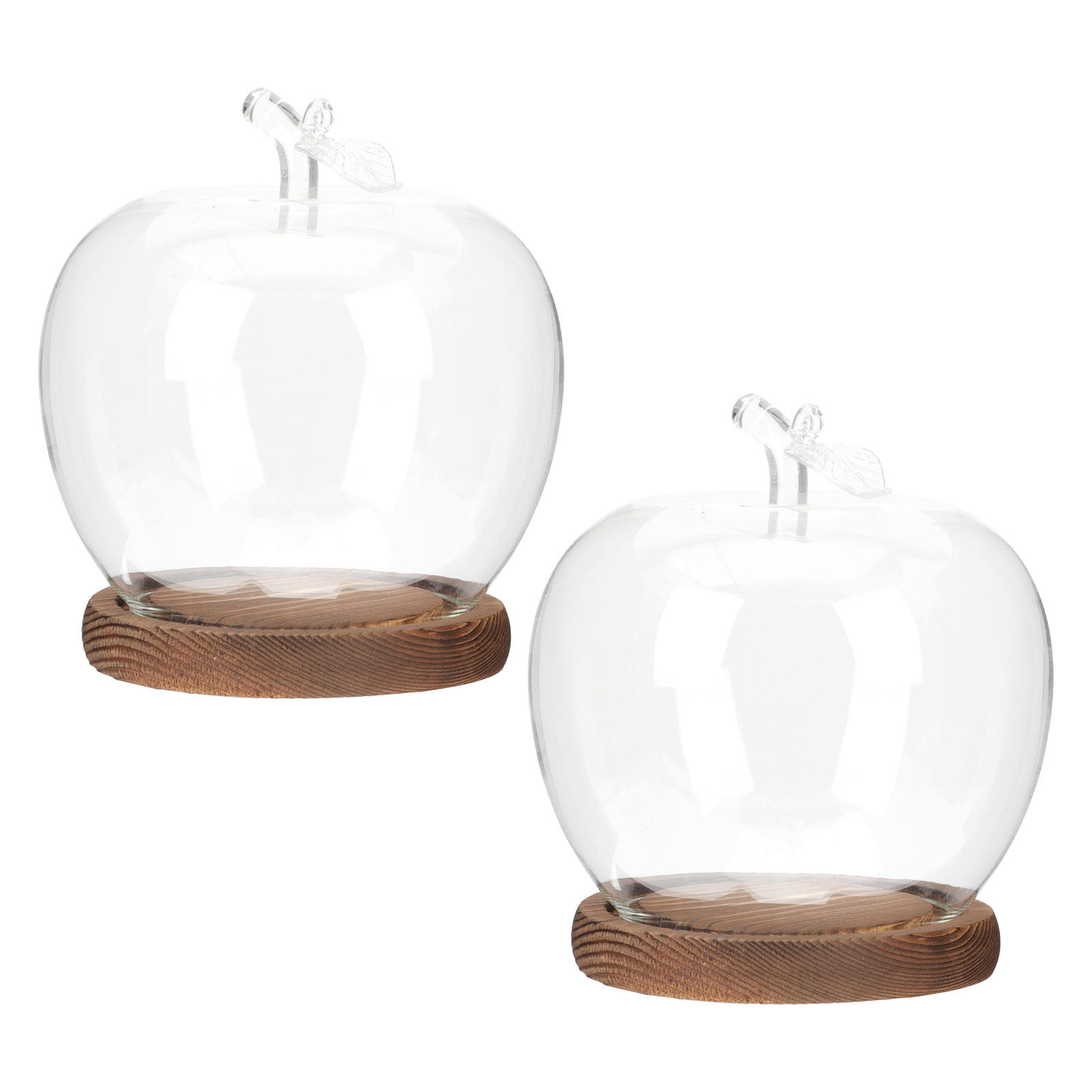 Plastic Dome Clear - 2Pcs Glass Cloche Dome with Wood