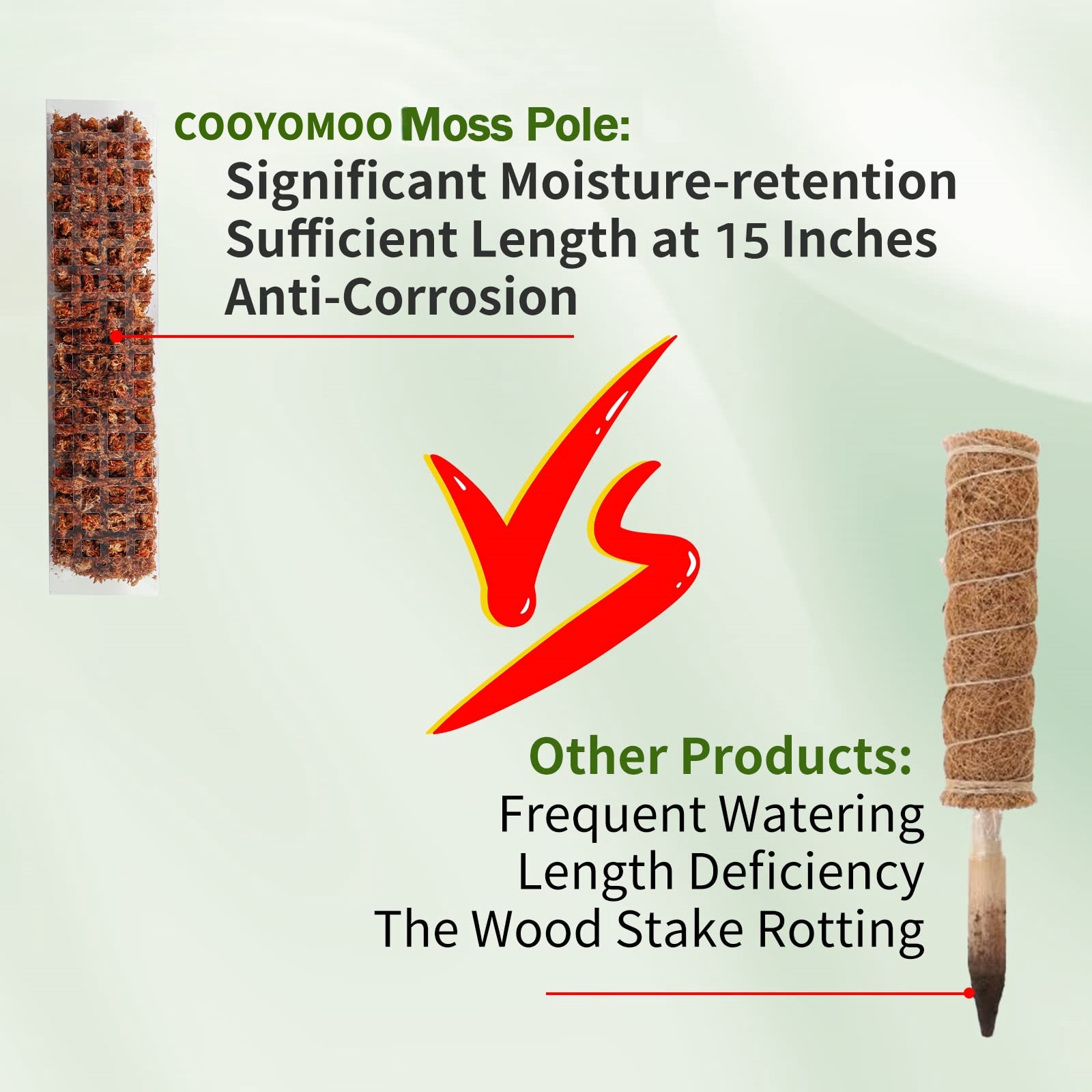 Moss Poles Plants Plant Suppor - Sphagnum Moss Dry review and price
