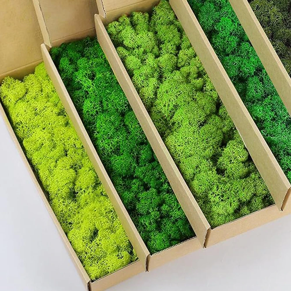 20-200g Artificial Green Plant - Sphagnum Moss Dry review and price