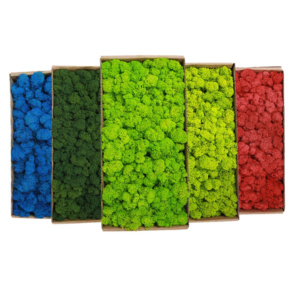 20-200g Artificial Green Plant - Sphagnum Moss Dry review and price