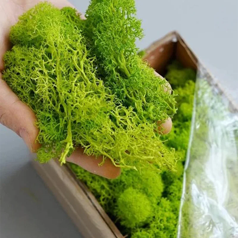 20-200g Artificial Green Plant - Sphagnum Moss Dry review and price