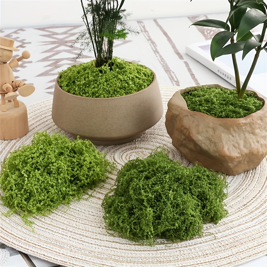 1pack Artificial Fake Moss, 1. - Sphagnum Moss Dry review and price