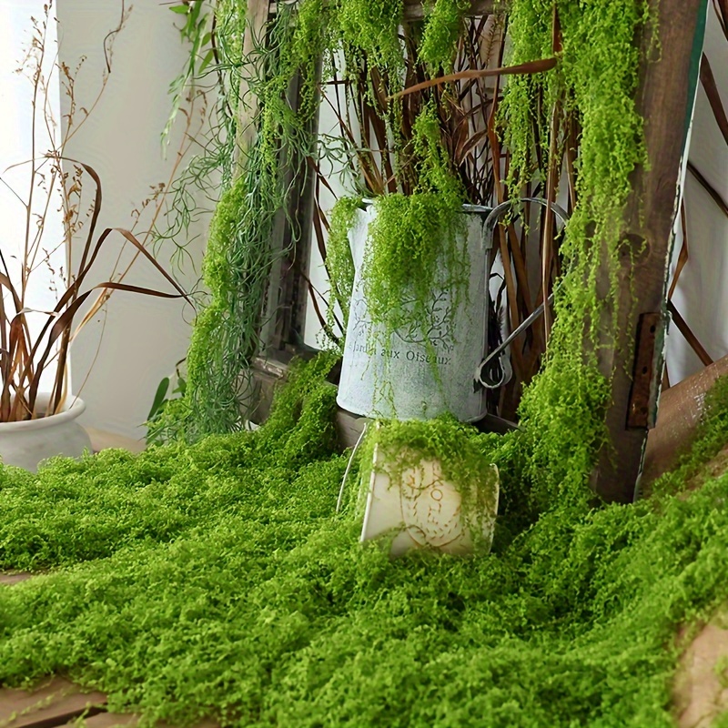 1pack Artificial Fake Moss, 1. - Sphagnum Moss Dry review and price