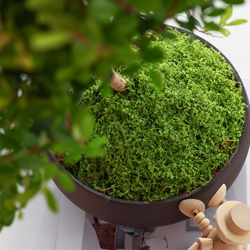 1pack Artificial Fake Moss, 1. - Sphagnum Moss Dry review and price