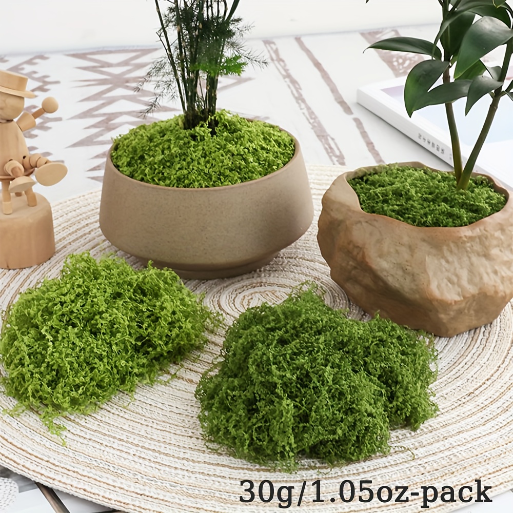 1pack Artificial Fake Moss, 1. - Sphagnum Moss Dry review and price
