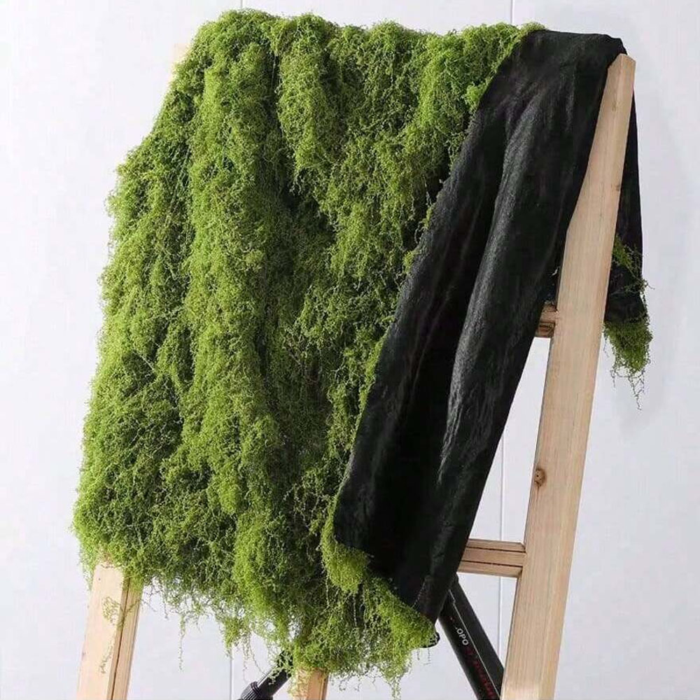 1*1m Fake Moss DIY Crafts Gras - Sphagnum Moss Dry review and price