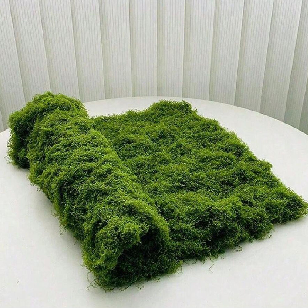 1*1m Fake Moss DIY Crafts Gras - Sphagnum Moss Dry review and price