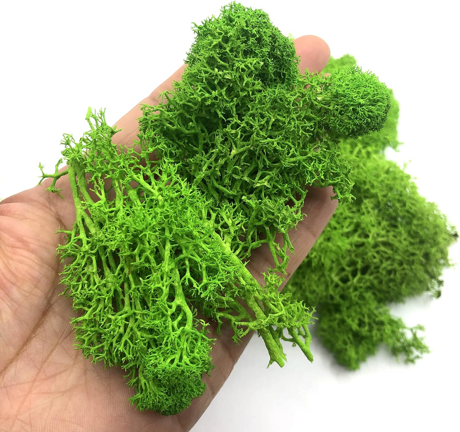 200g Artificial Green Plants M - Sphagnum Moss Dry review and price