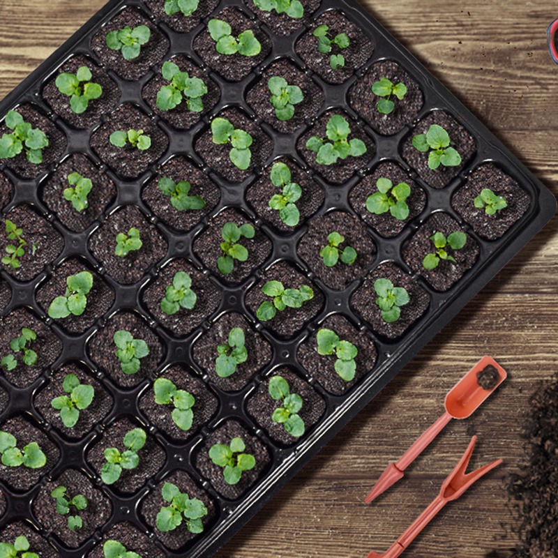 ABGH-10 Pack Seed Starter Tray - Propagation Tray 72 review and price