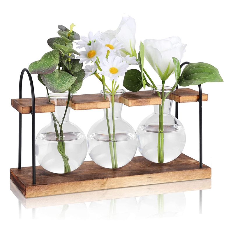 Plant Propagation Station with - Propagation Station Vase review and price