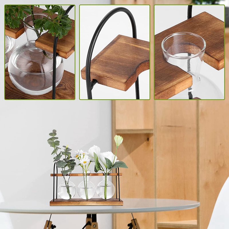 Plant Propagation Station with - Propagation Station Vase review and price