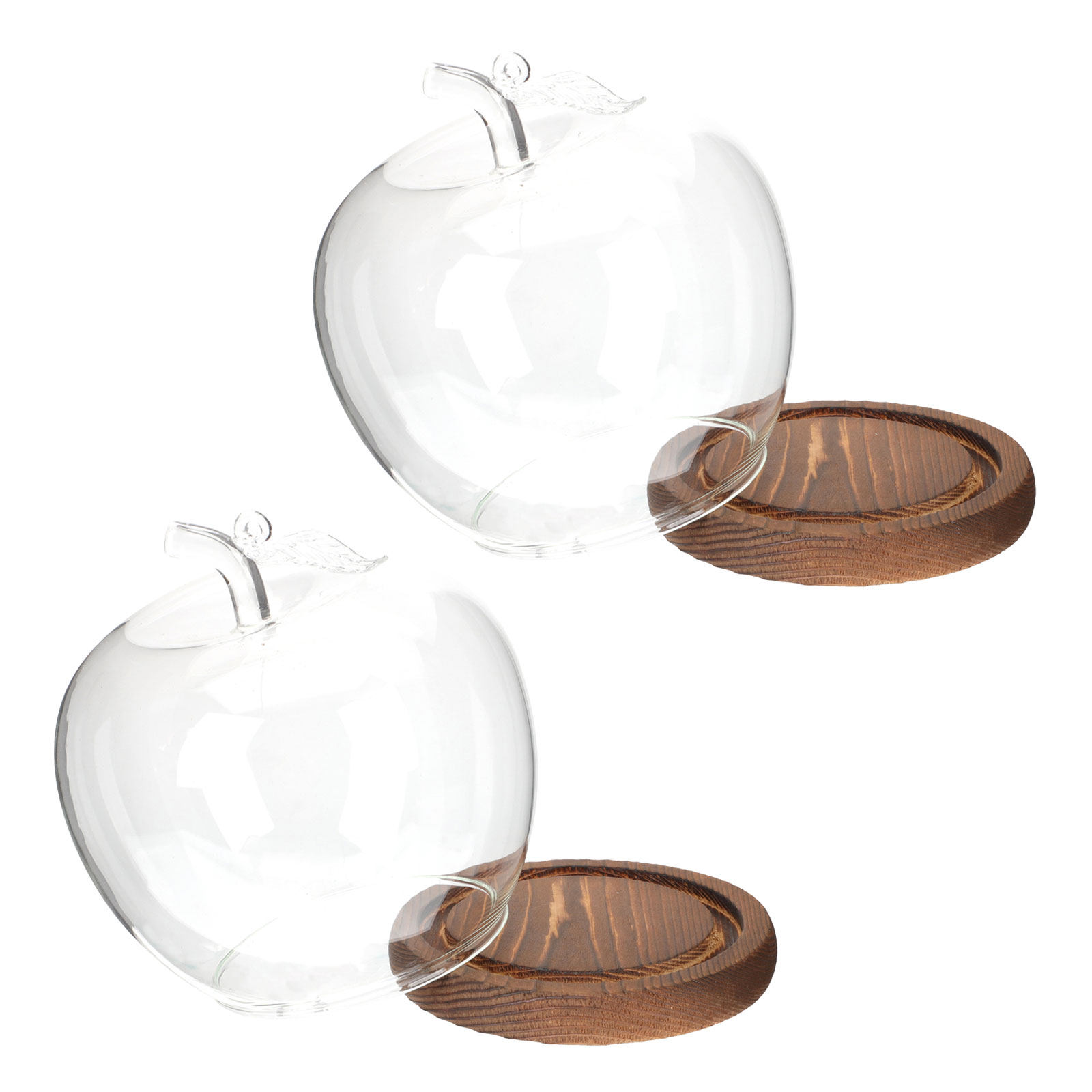 2Pcs Glass Cloche Dome with Wo - Plastic Dome Clear review and price