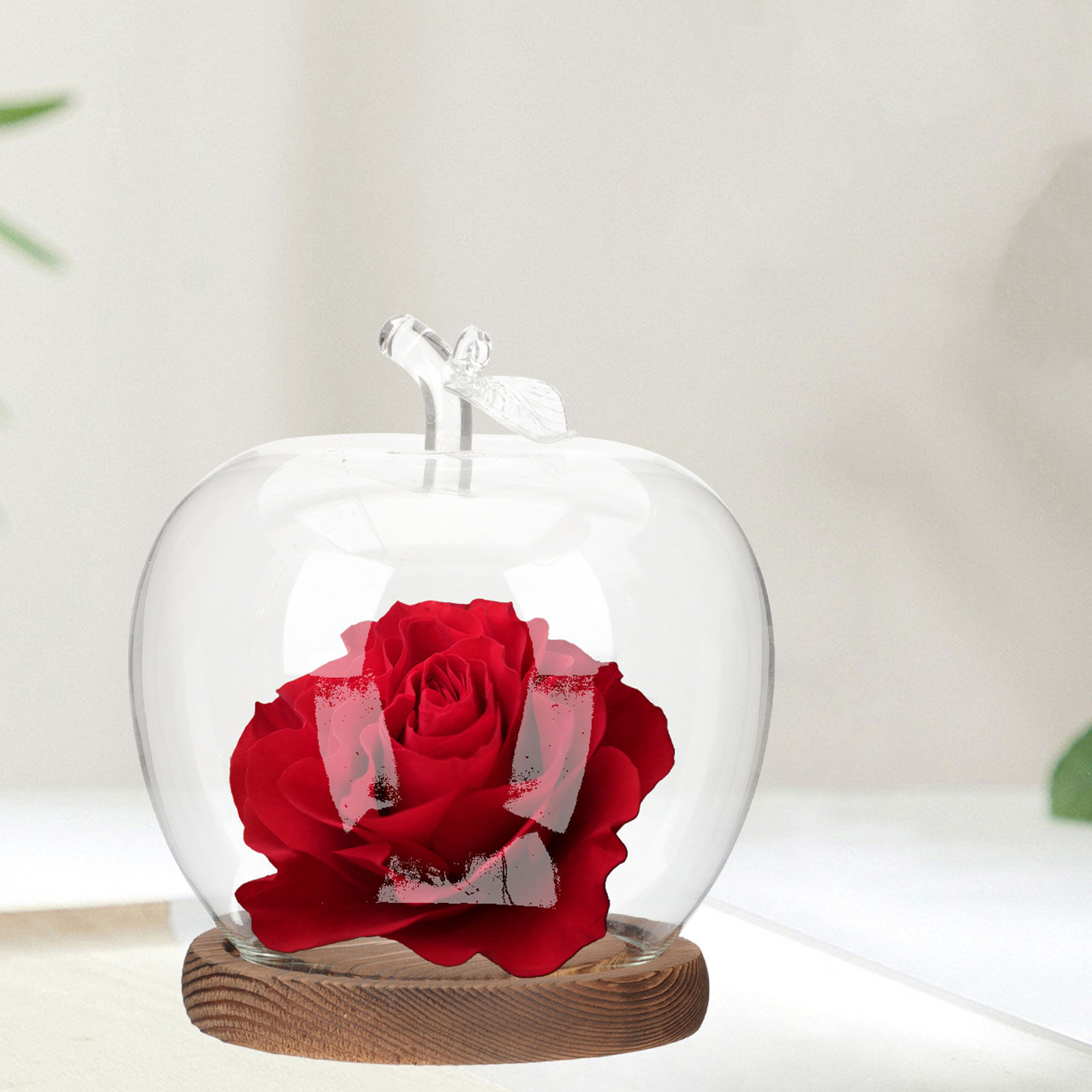 2Pcs Glass Cloche Dome with Wo - Plastic Dome Clear review and price